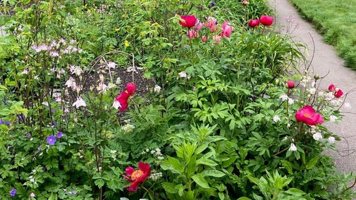 The garden at Hill Top in late Spring